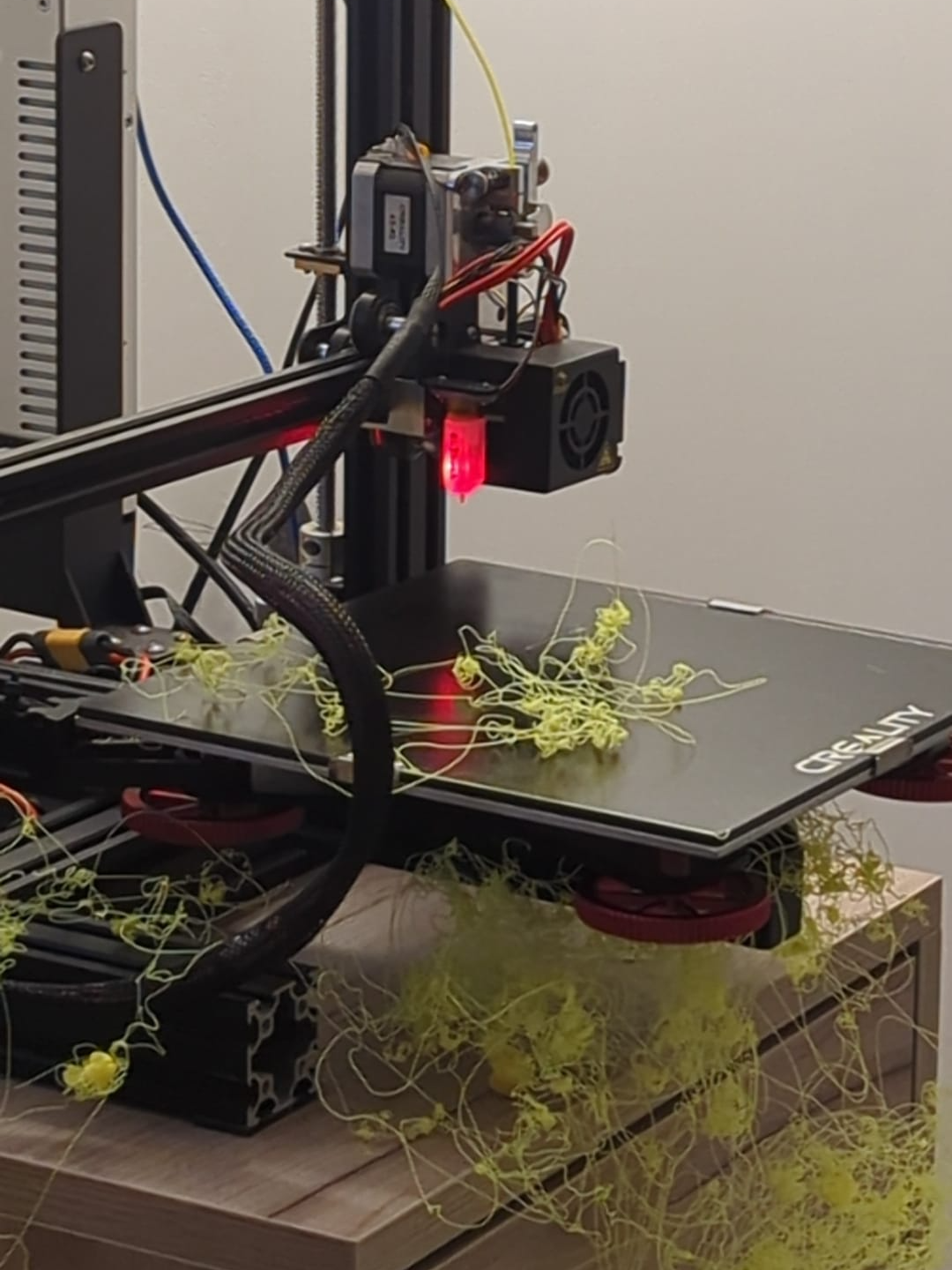 A failed print my brother sent me
